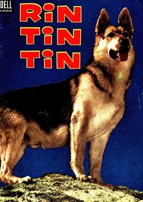 Rin Tin Tin 8