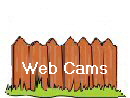 
Web Cams