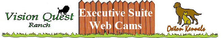    Executive Suite
   Web Cams